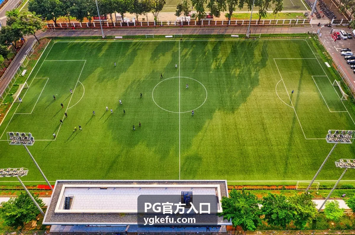 PG官方入口三种进入方式对照配图